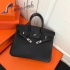 Hermes Birkin 25cm Genuine French Togo Leather HBTB25cm